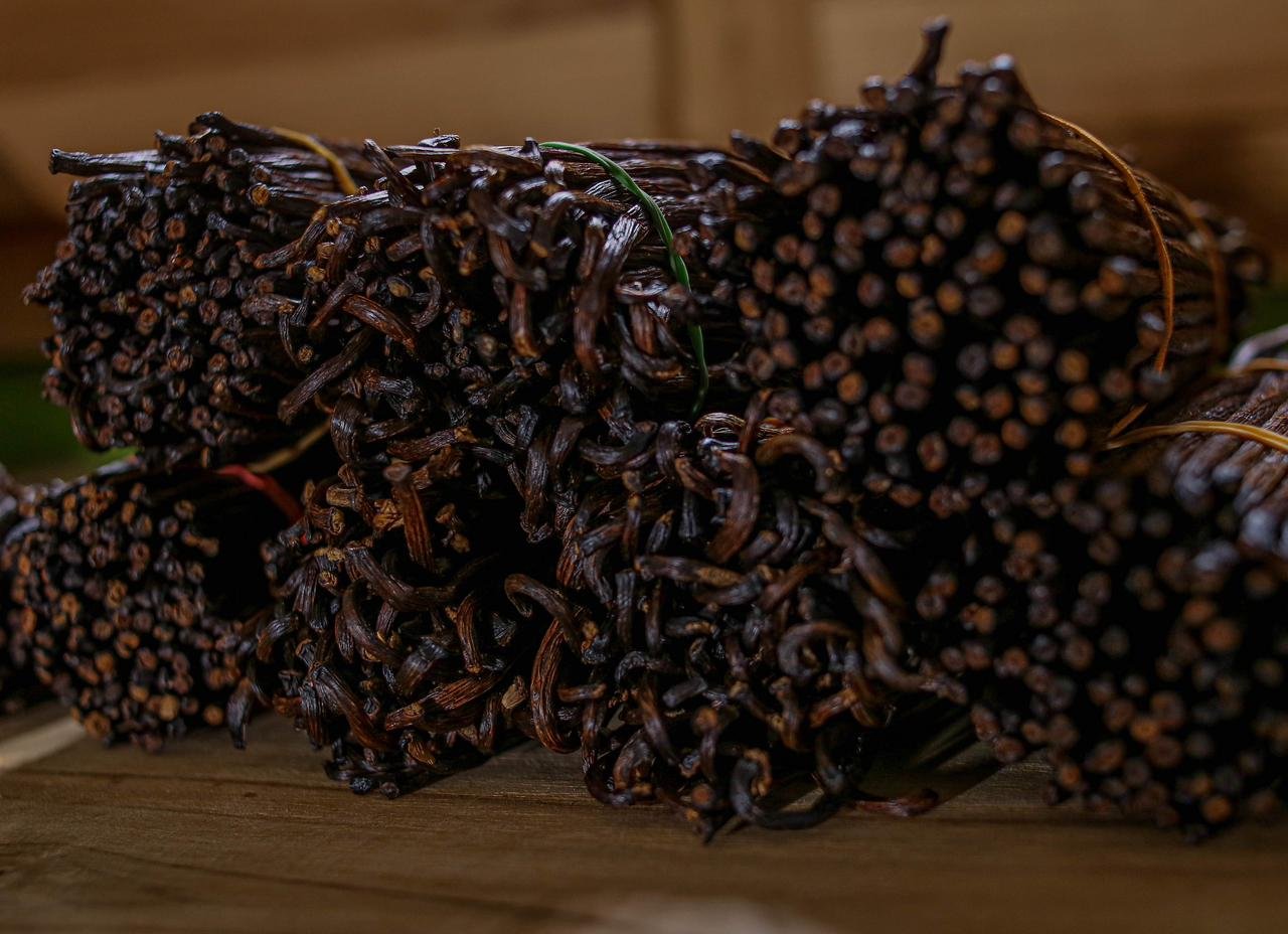 Vanilla Beans 12 photo 10