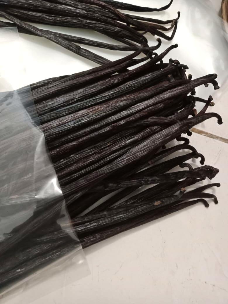 Vanilla Beans 12 photo 14