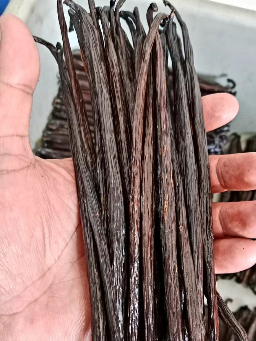 Vanilla Beans 12 photo 15