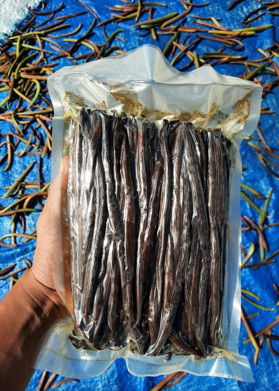 Vanilla Beans 12 photo 2
