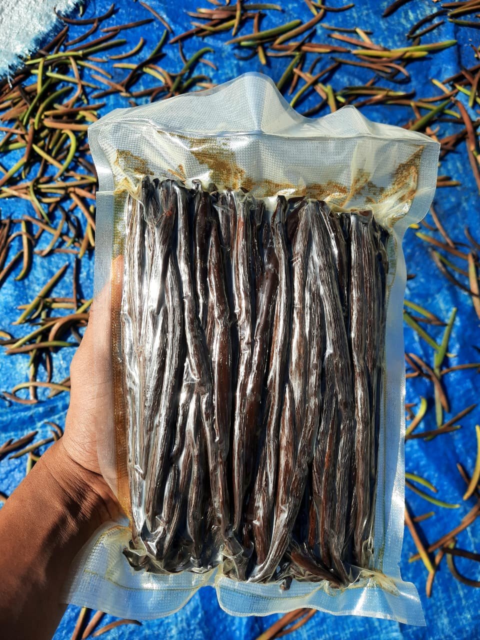 Vanilla Beans 12 photo 2