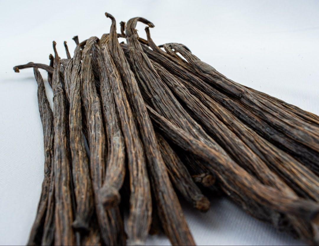 Vanilla Beans 12 photo 9